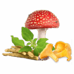 Сборы и миксы